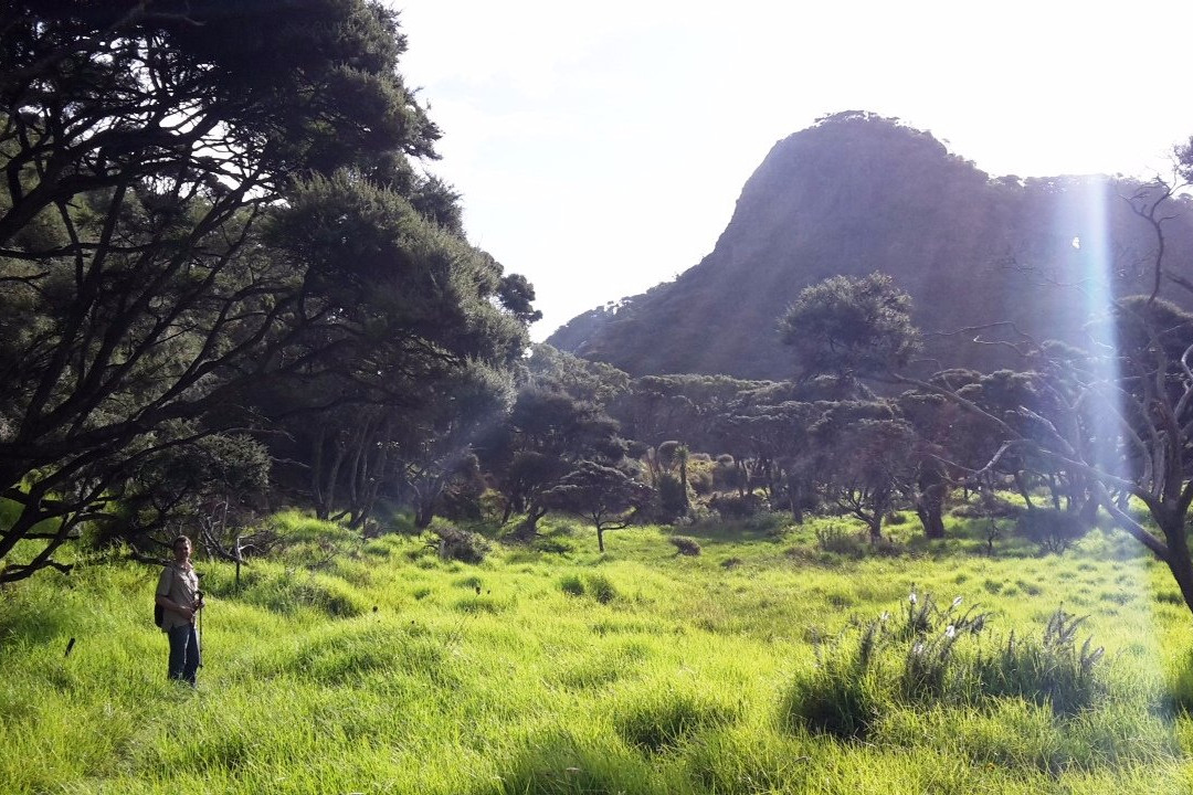 Omanawanui Track景点图片