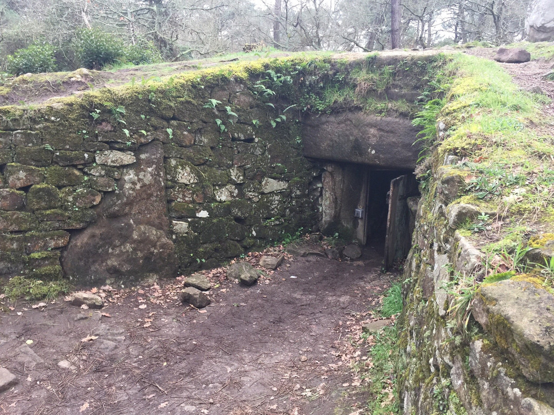 Tumulus et Tombelles de Kernours景点图片