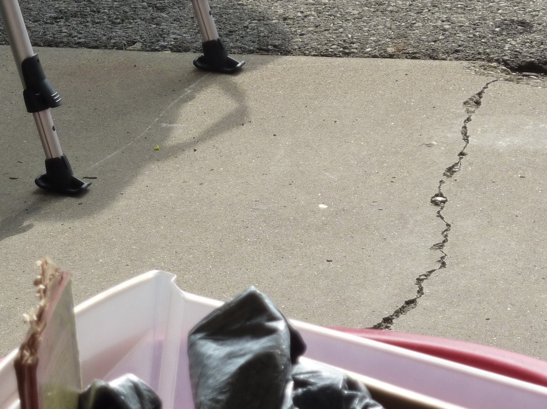 Caesar Creek Flea Market-Wilmington必去景点