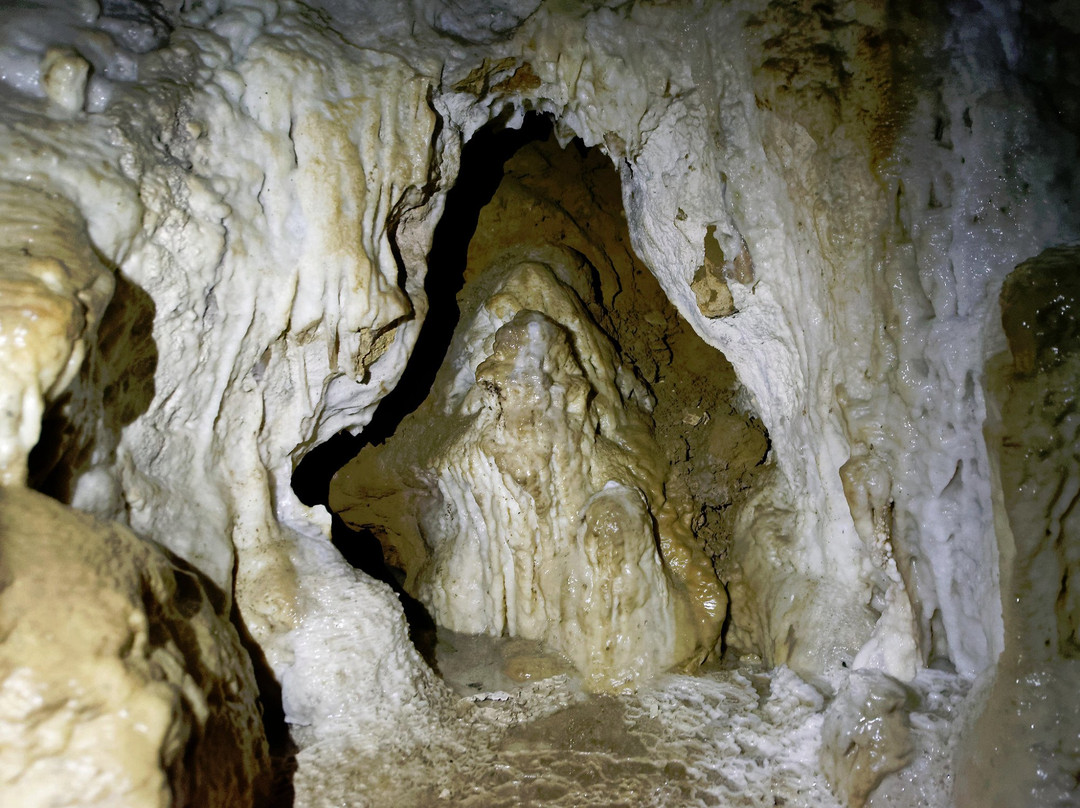Clifden Caves景点图片