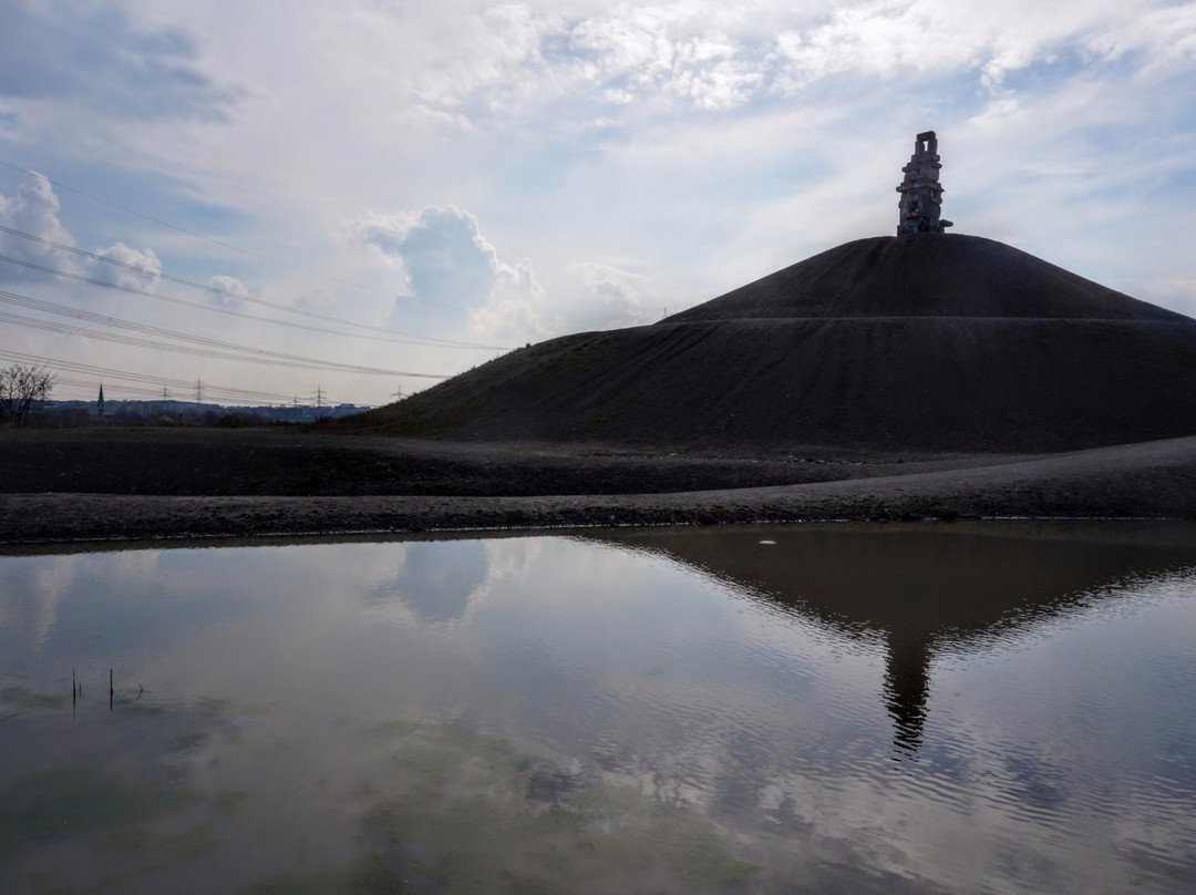 Halde Rheinelbe景点图片