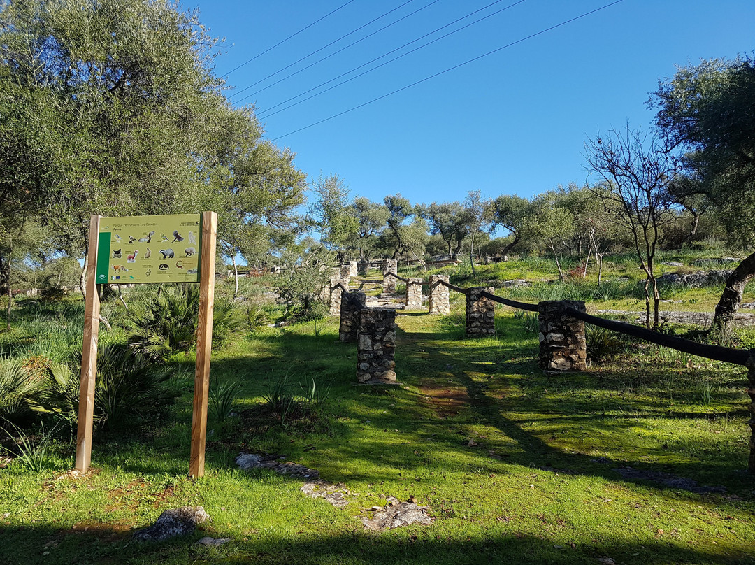 Parque Periurbano Los Cabezos景点图片