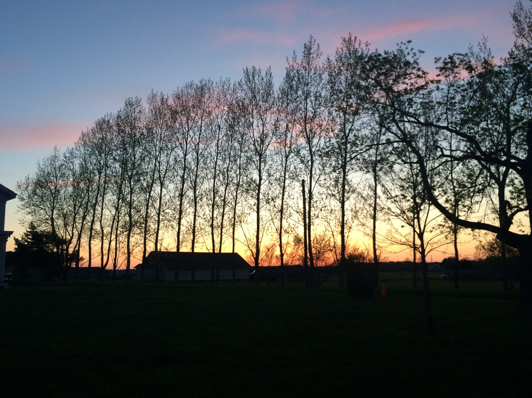 Main Street Drivers-斯坦福必去景点