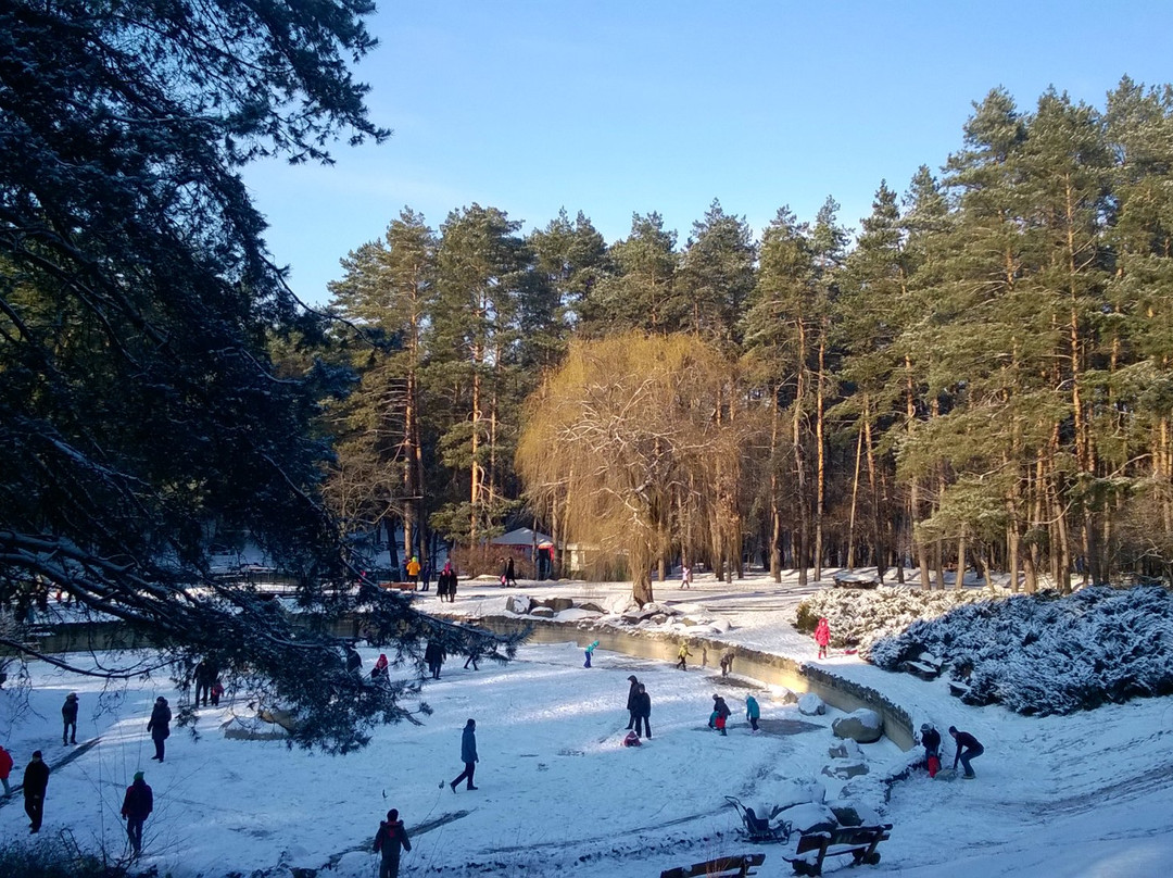 Yuvileyniy Park-Cherkasy必去景点