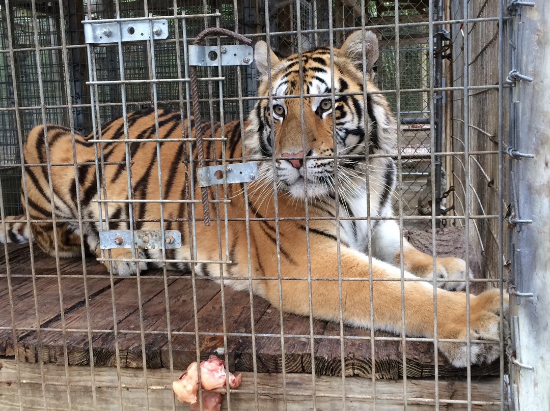 Endangered Animal Rescue Sanctuary-Citra必去景点