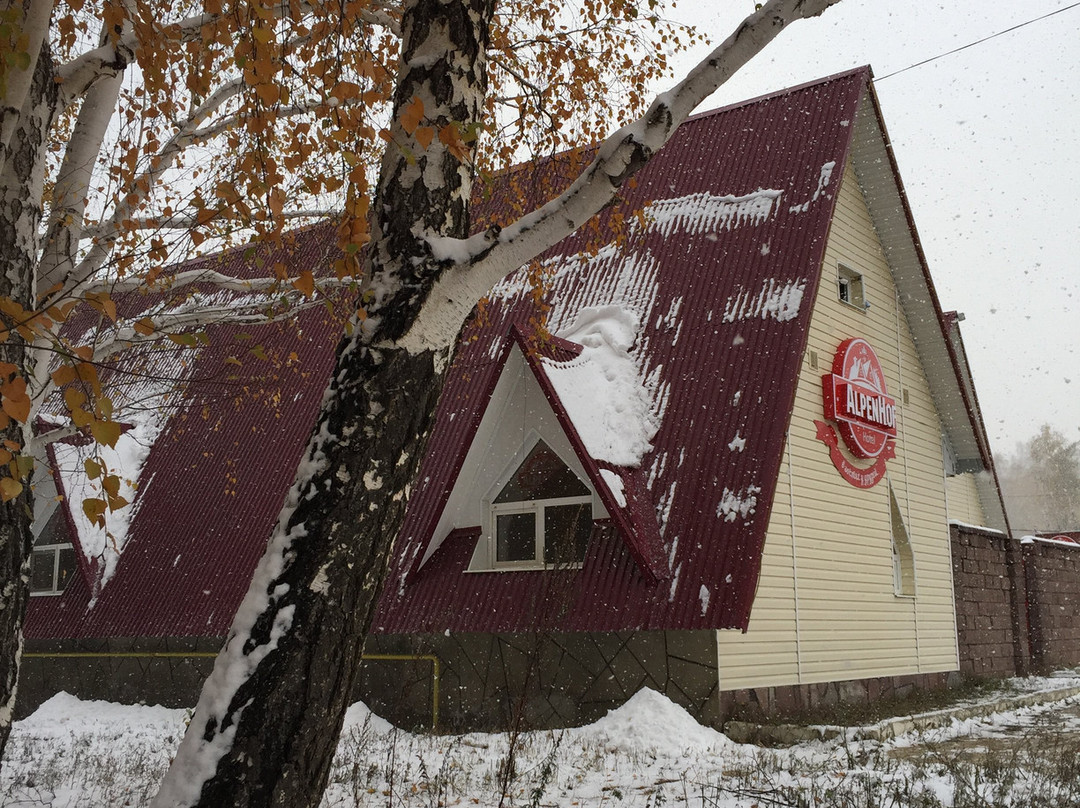 AlpenHof Hotel主图