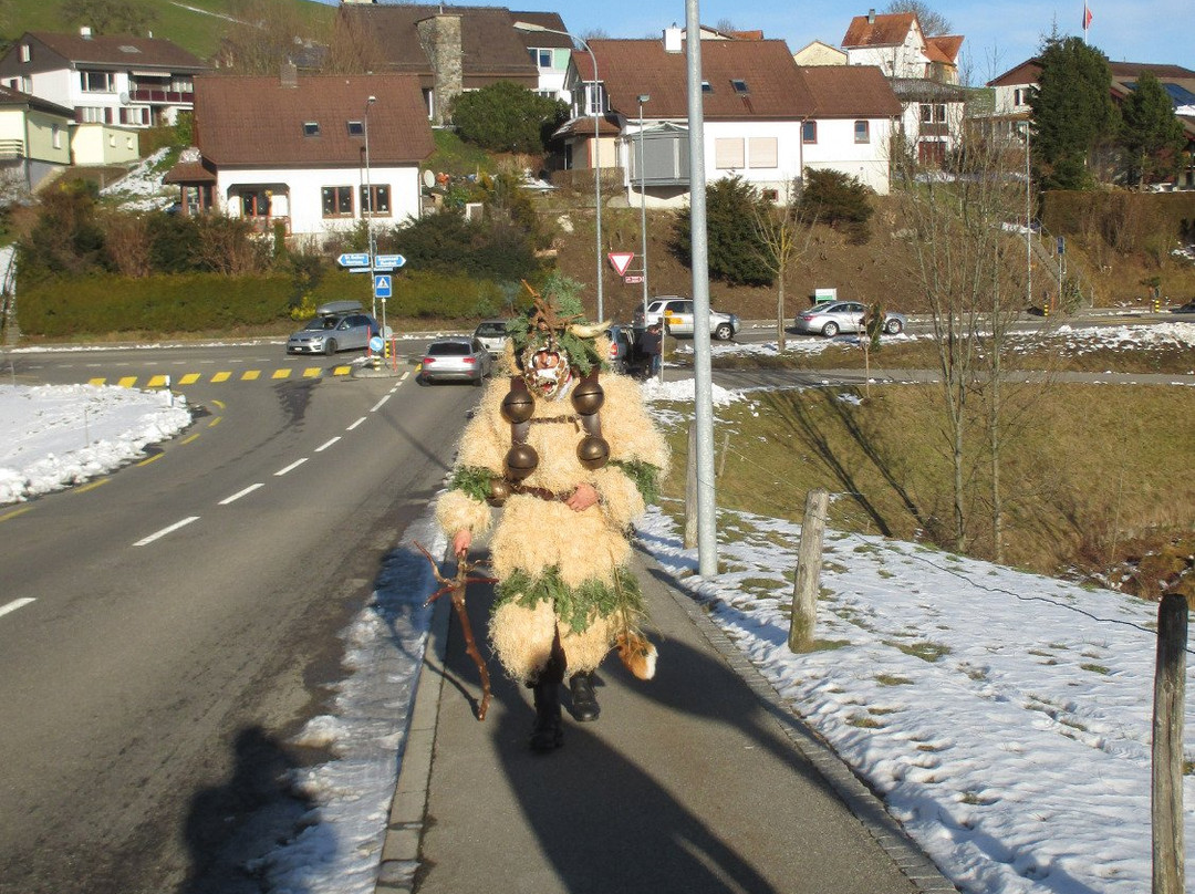 New Year's Mummer-Appenzell必去景点