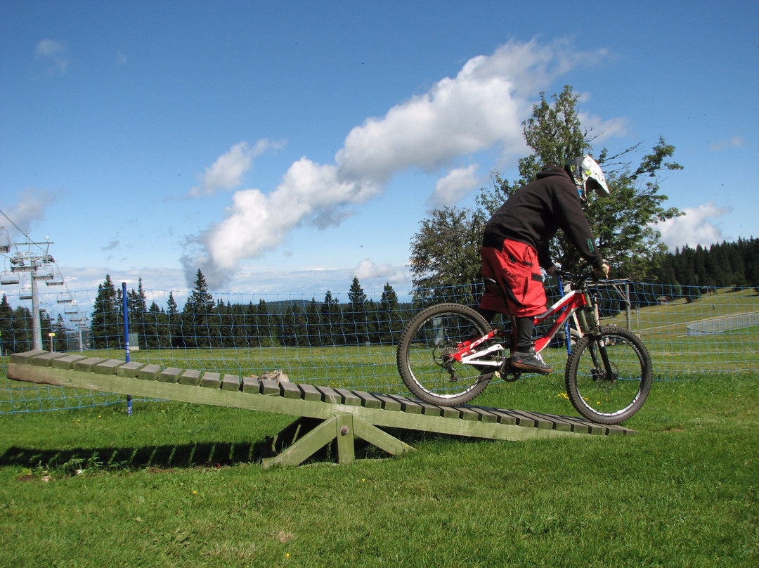 Rogla Bike Park景点图片