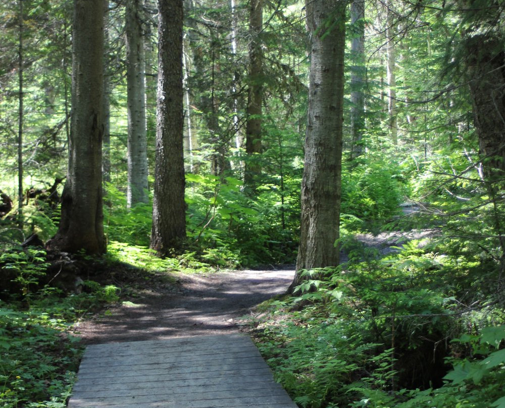 Purden Lake Provincial Park景点图片