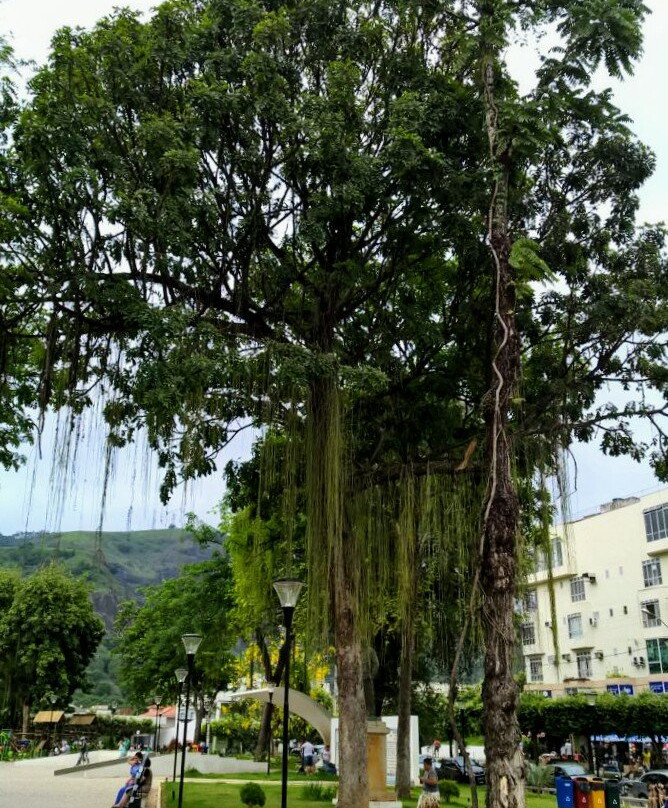 Praça Felix Martins景点图片