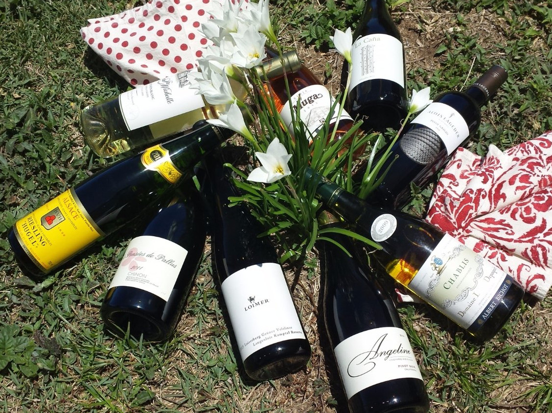 Tinto Wine Shop-吕康必去景点