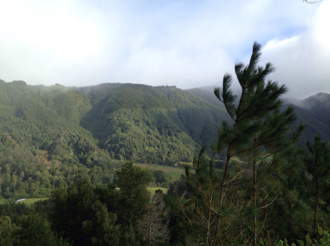 Nordeste旅游景点-Reserva Florestal de Recreio du Viveiro do Nordeste