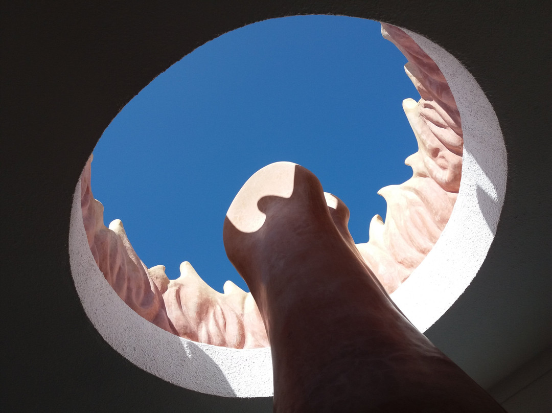 Riad Tamayourt Ocean View主图