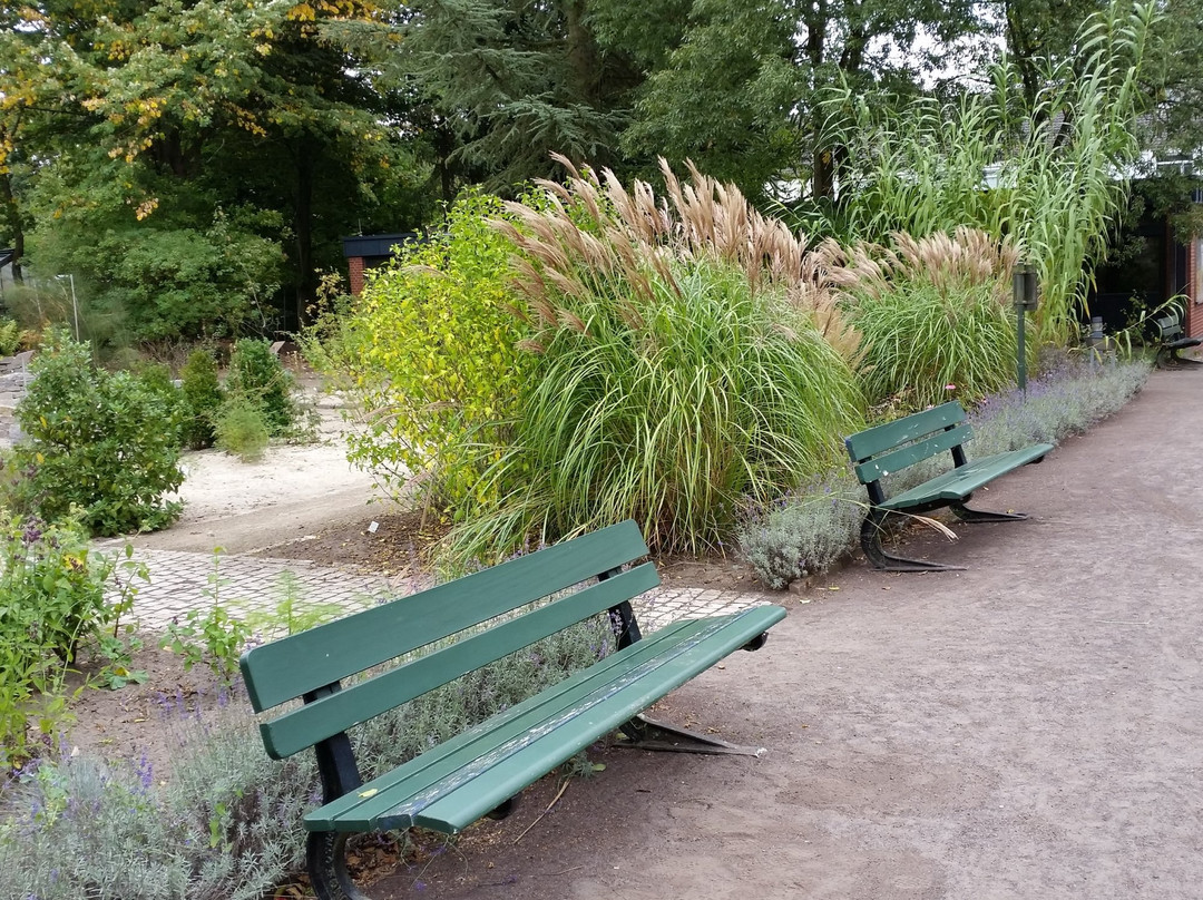 Botanischer Garten-奥尔登堡必去景点