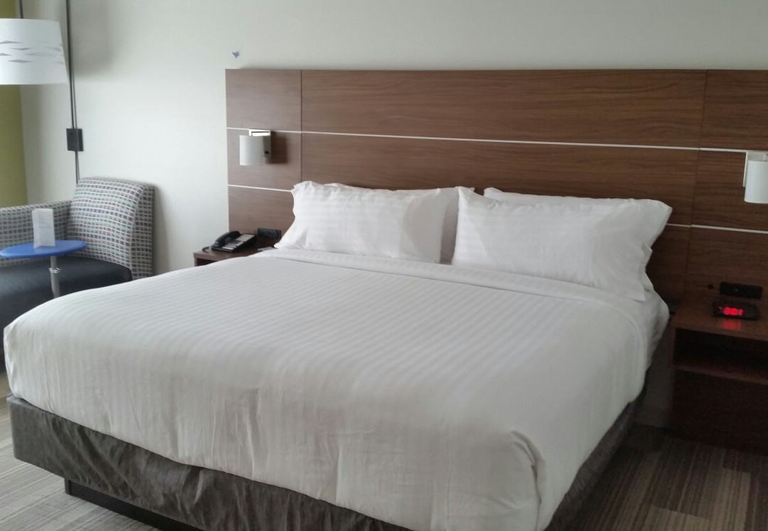Decatur酒店住宿-Holiday Inn Express & Suites Decatur By IHG