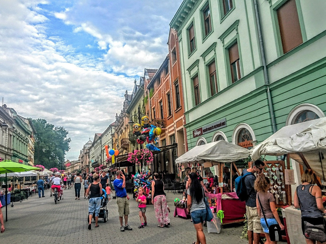 Kaposvar Plaza景点图片