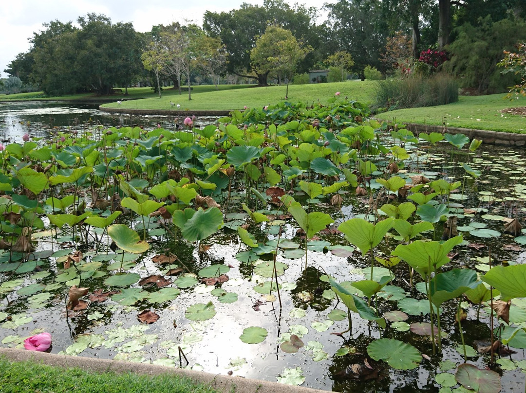 Botanic Gardens-汤斯维尔必去景点