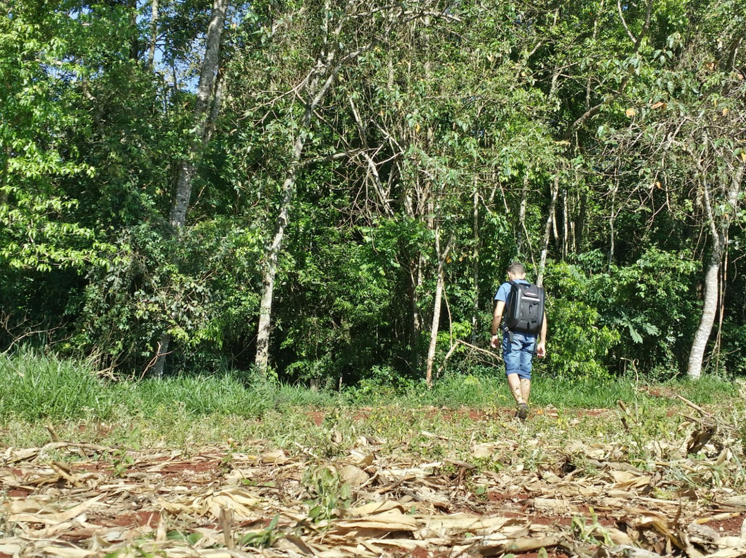 Parque Estadual Mata dos Godoy-Londrina必去景点