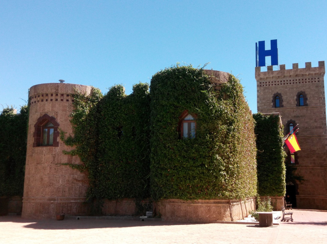 Vinedos y Bodegas El Castillo景点图片