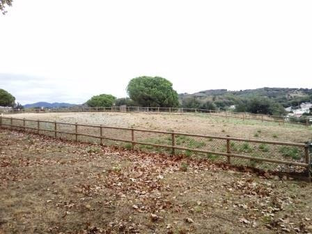 Parc de Can Jalpí-Arenys de Munt必去景点