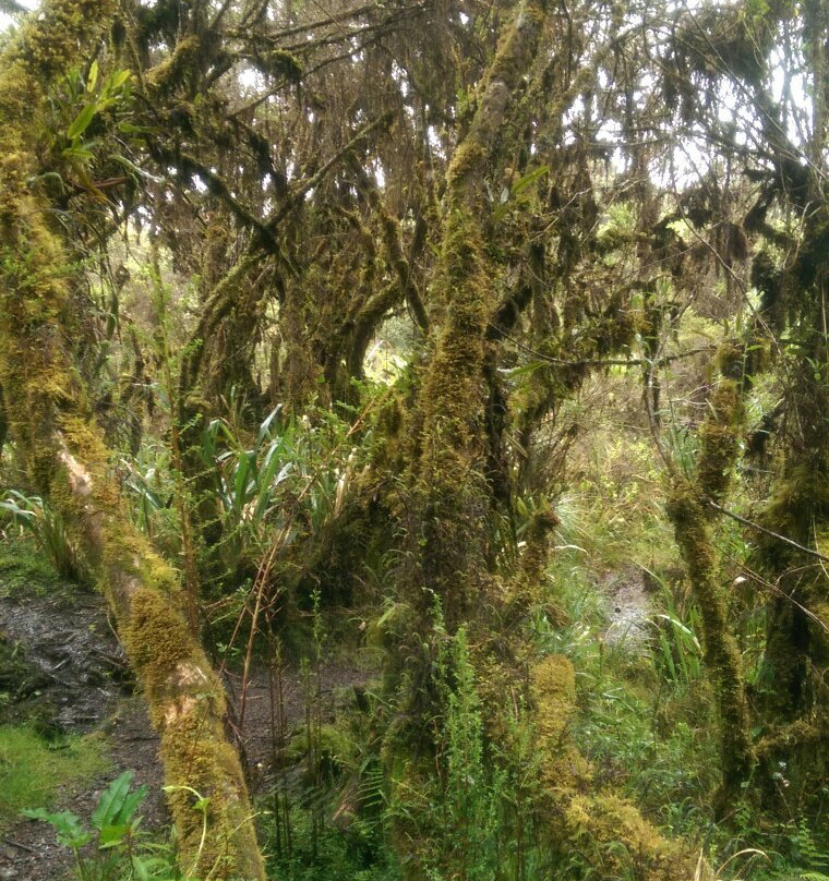 Lincolnjabra-Tumbaco必去景点