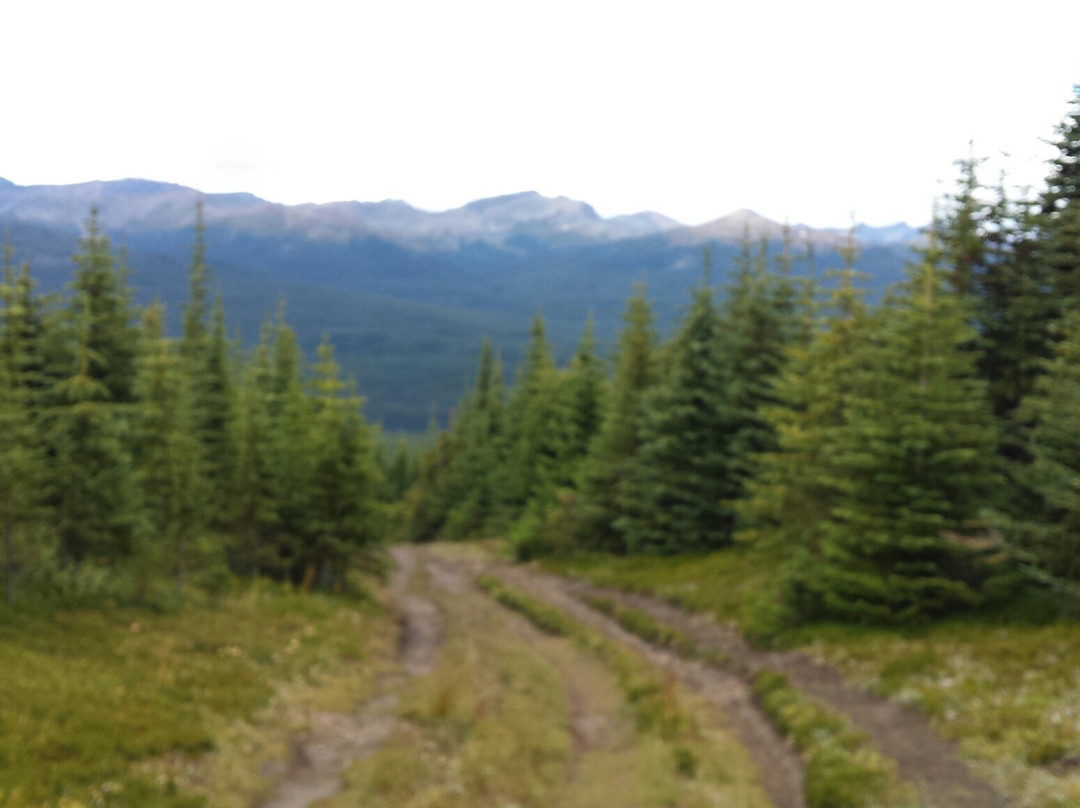 Opal Hills-贾斯珀必去景点