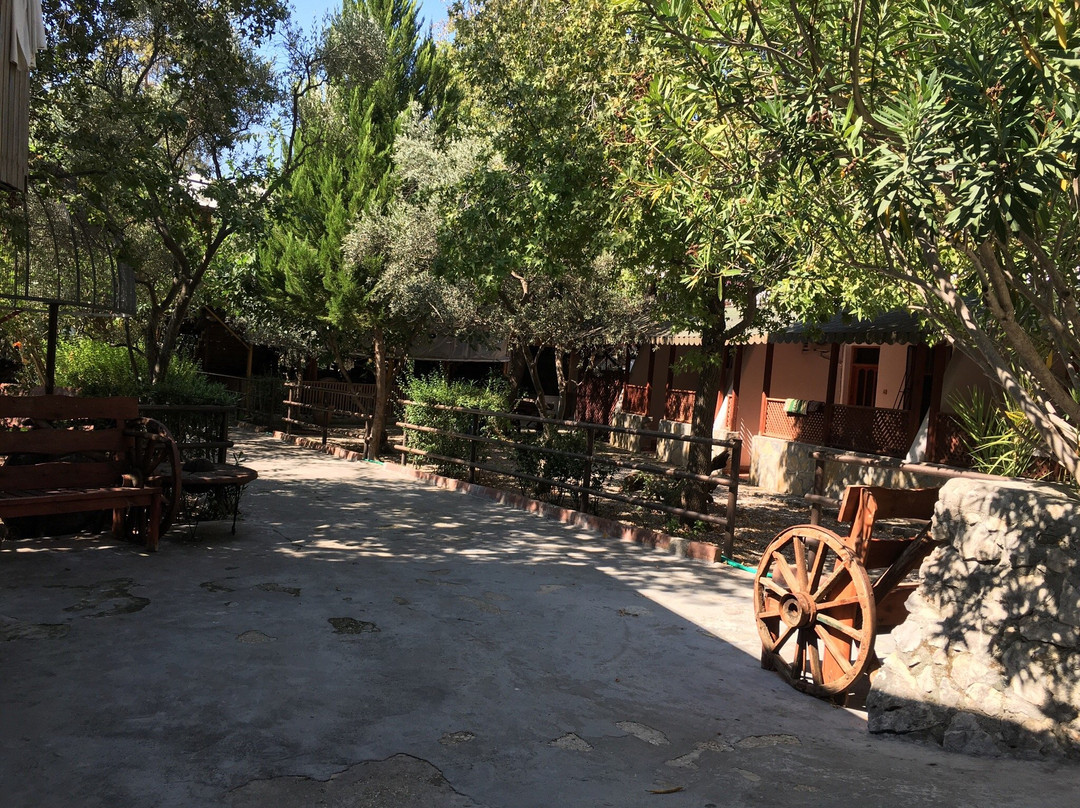 Kargi Nomadic Museum景点图片