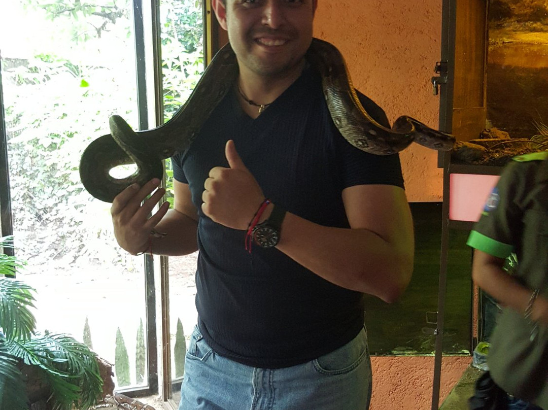 Museo Vivo-Malinalco必去景点