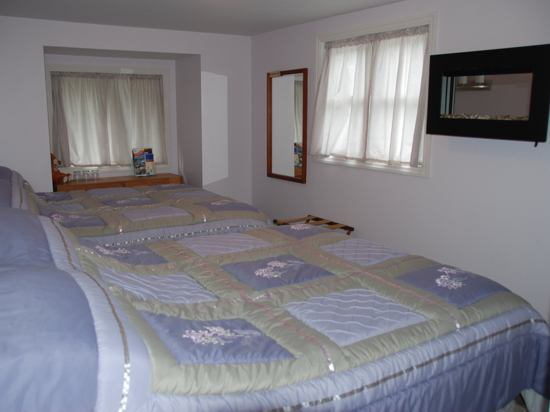 Teddy Bear Bed & Breakfast主图