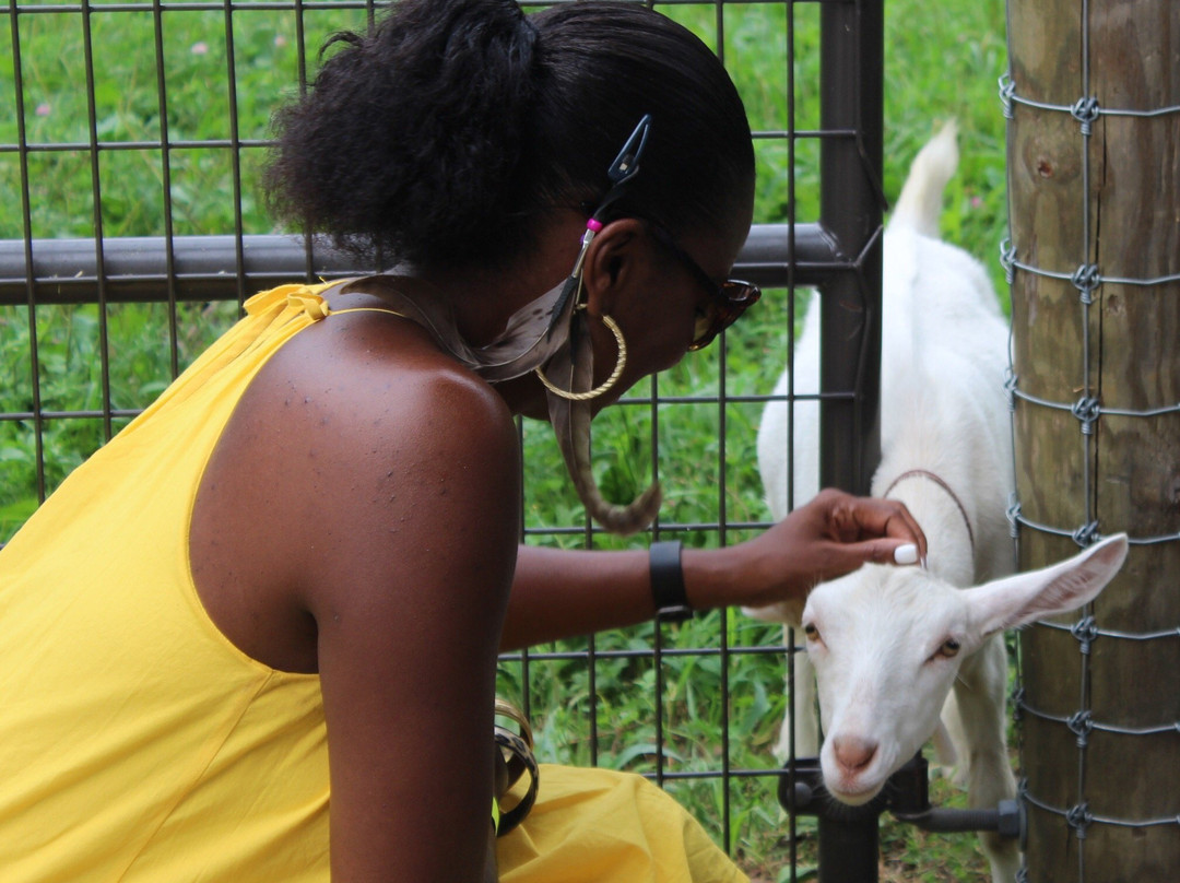 Queens County Farm Museum-Floral Park必去景点