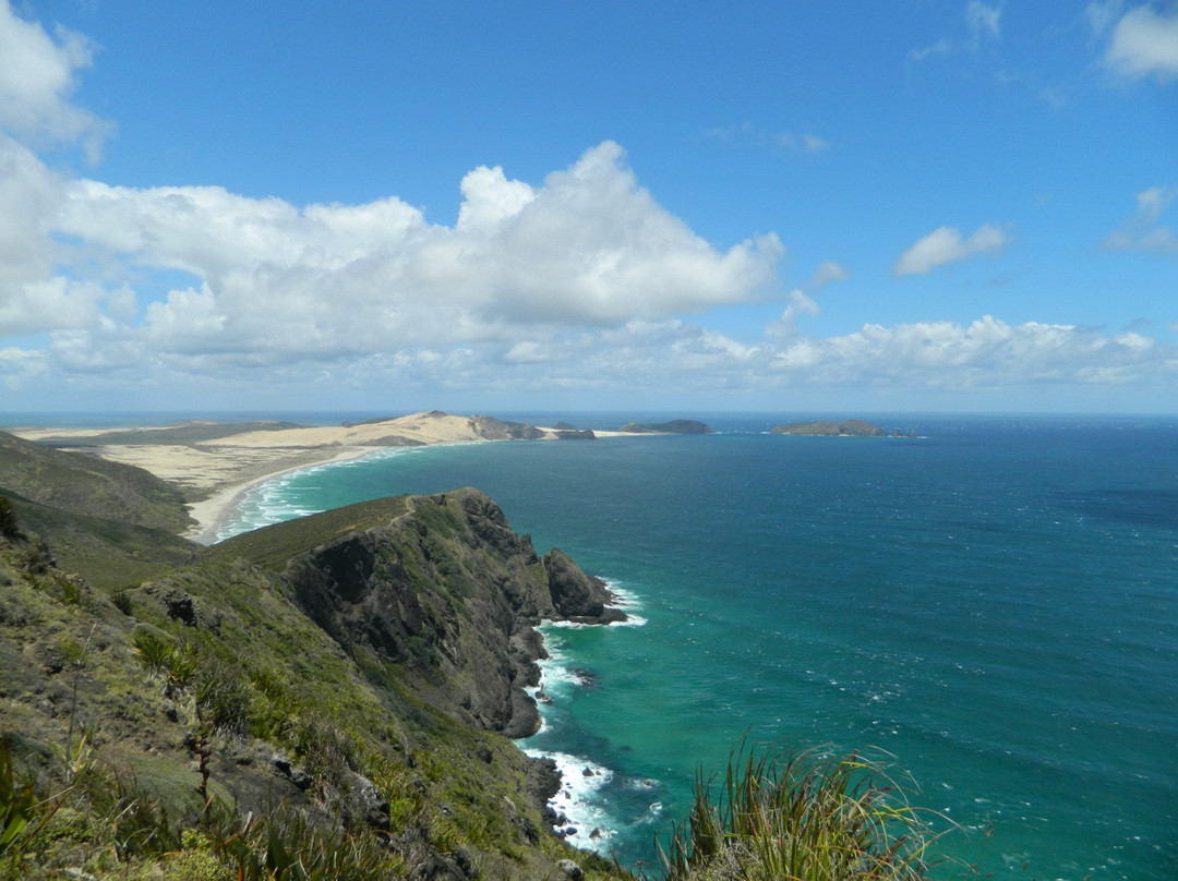 Cape Reinga Lighthouse景点图片