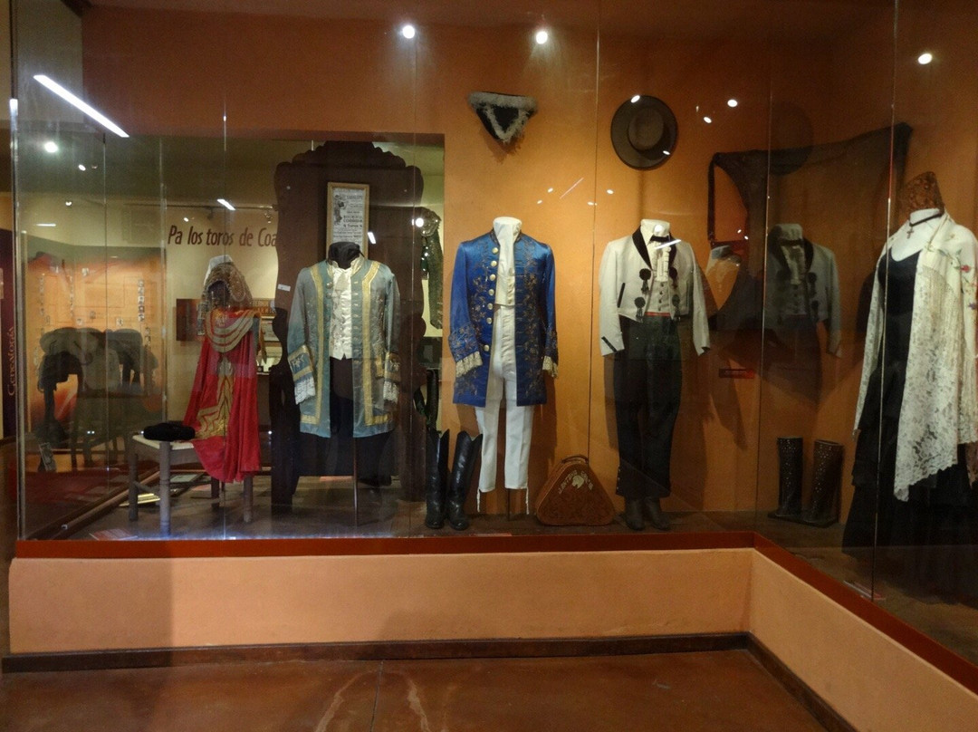 Museo de la Cultura Taurina-萨尔蒂必去景点