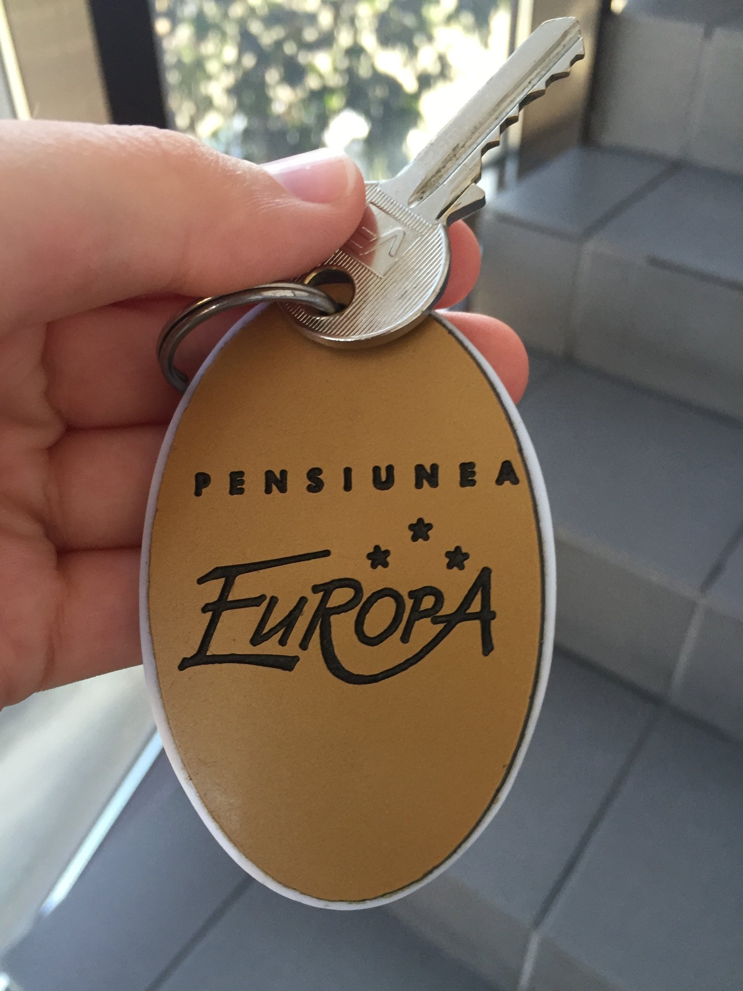 Pensiunea Turistica Europa-官方