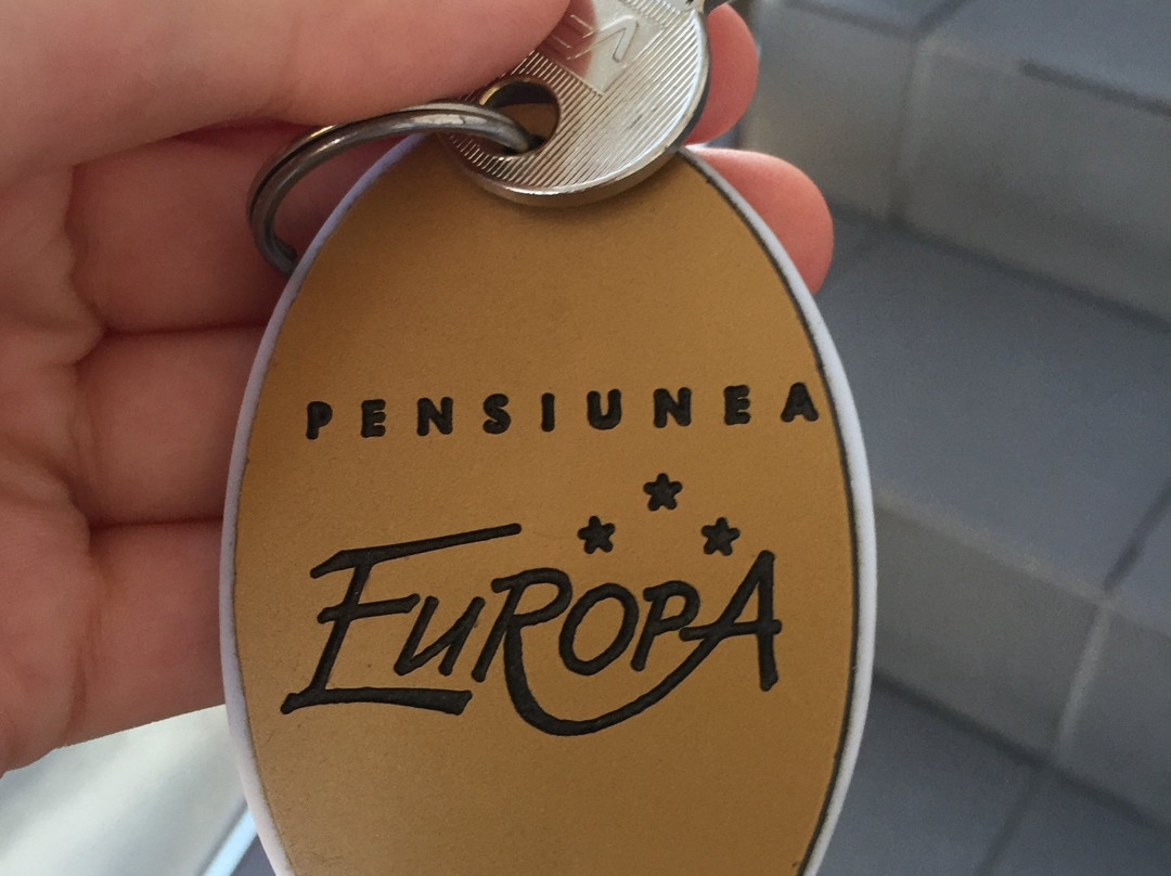 Pensiunea Turistica Europa主图