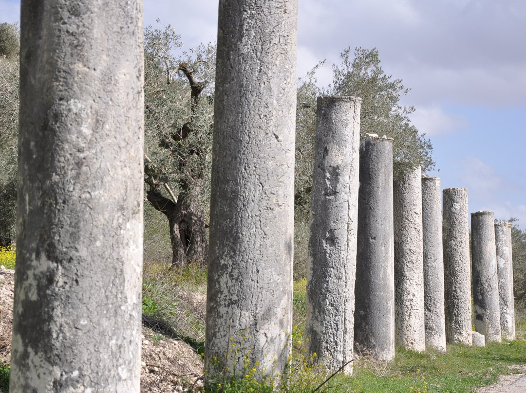 Mosaic Centre Laboratory-Jericho必去景点