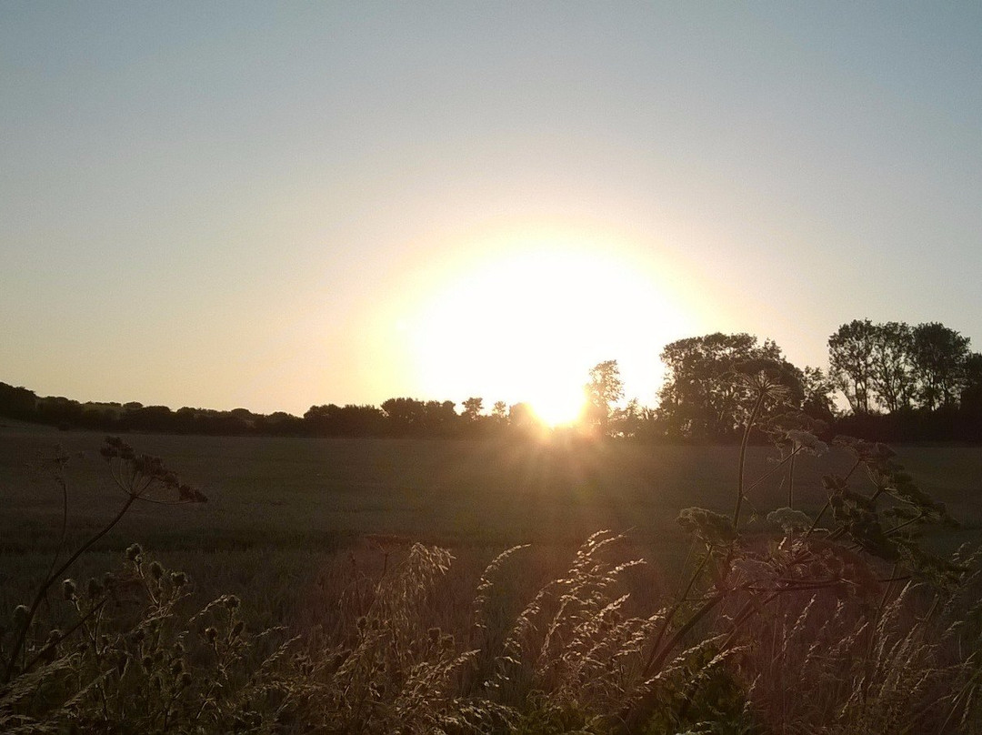 Pigeonwood House主图