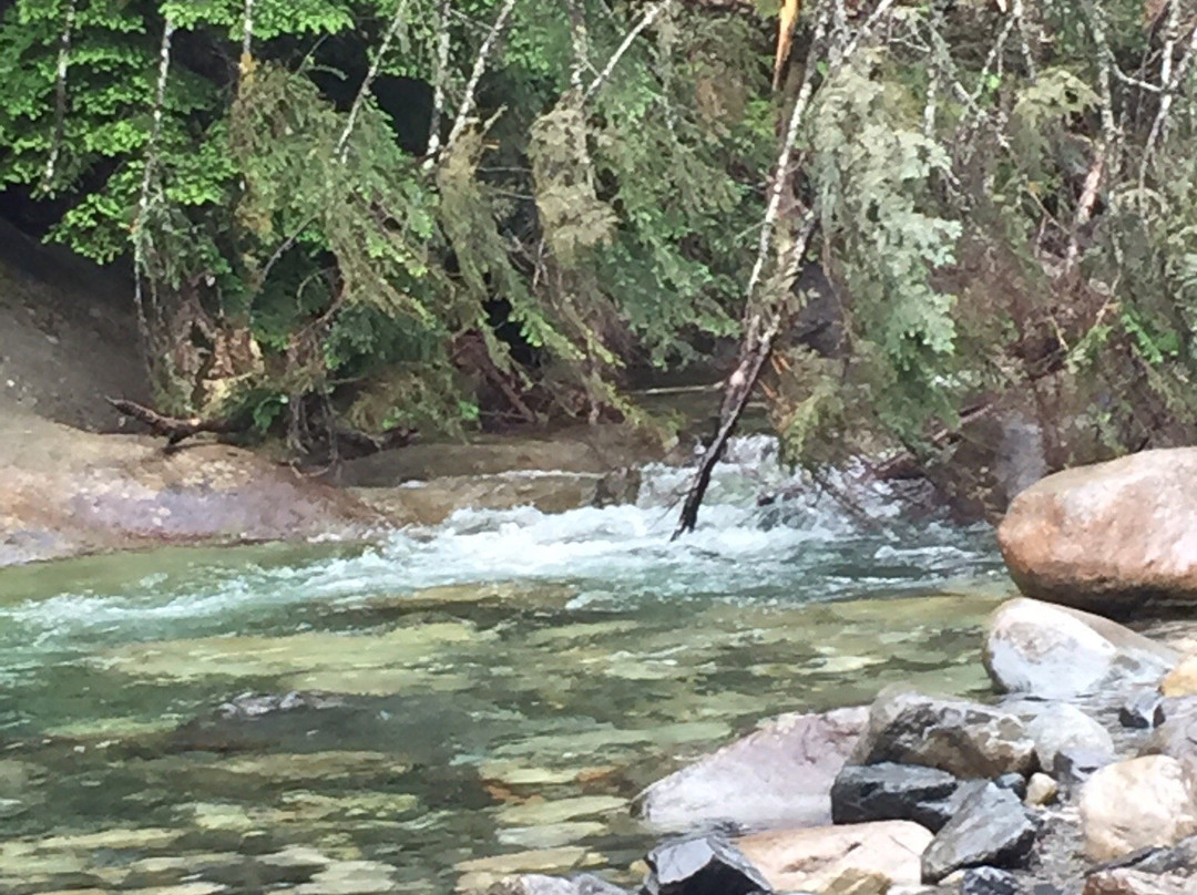 Denny Creek Trail景点图片