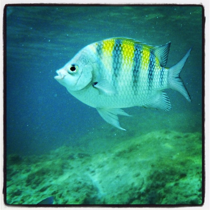 Bluewater SUP Safaris-圣 托马斯必去景点