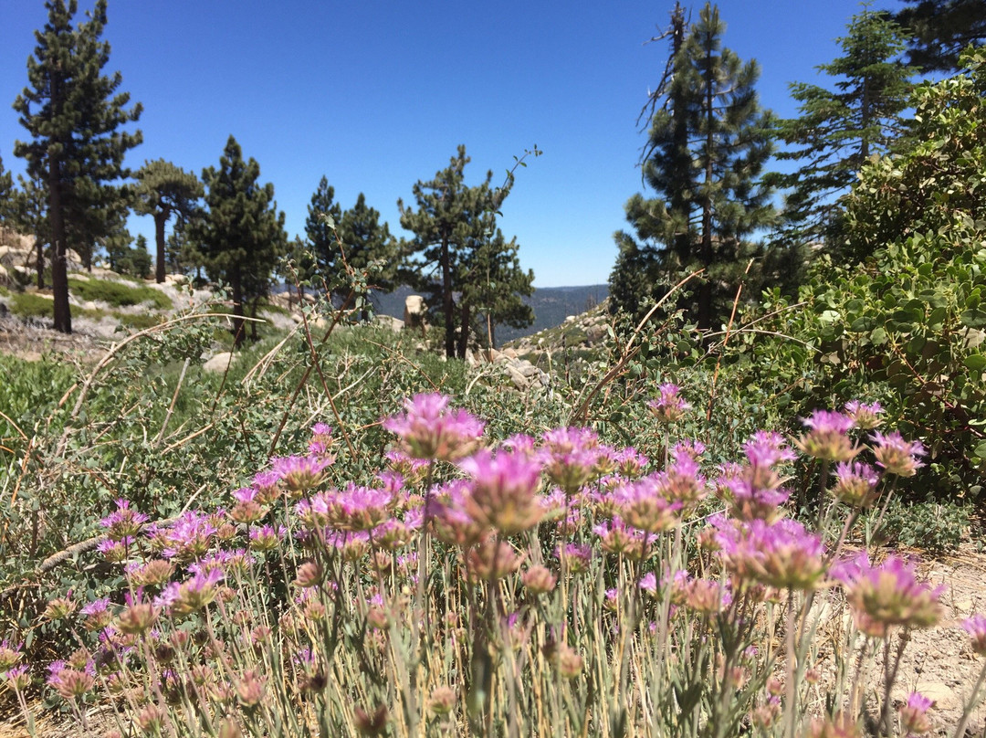 Butler Peak-大熊湖必去景点