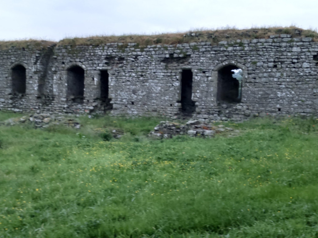 Ballymoon Castle-County Carlow必去景点