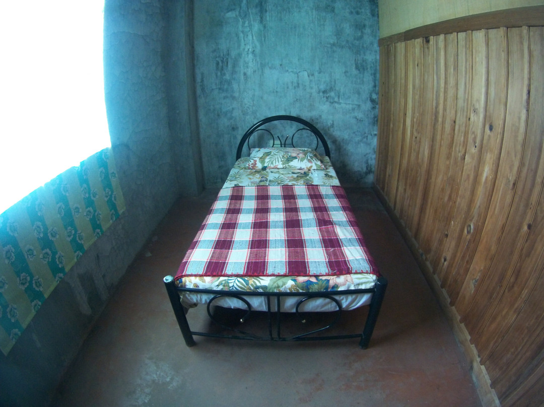 Kim's Homestay主图