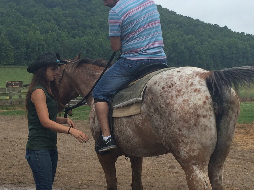 The Spotted Horse Ranch-Laurelville必去景点
