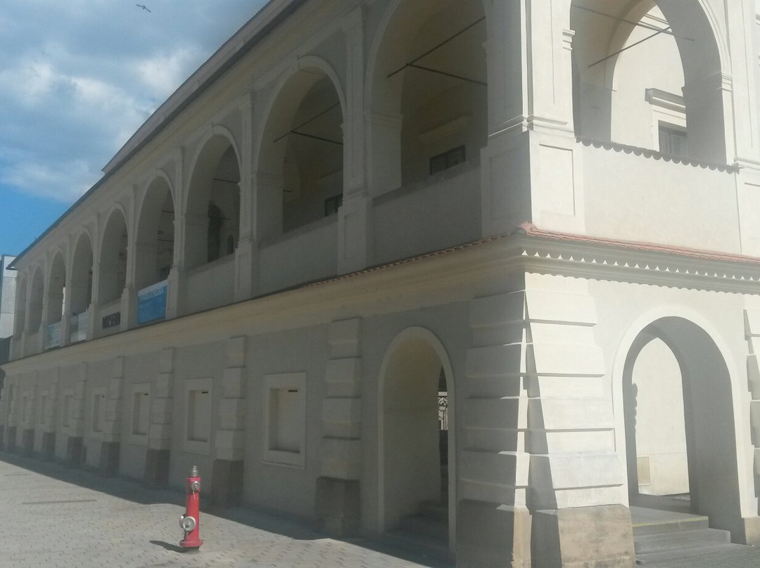 Stara Radnice & Muzeum Prostejovska景点图片