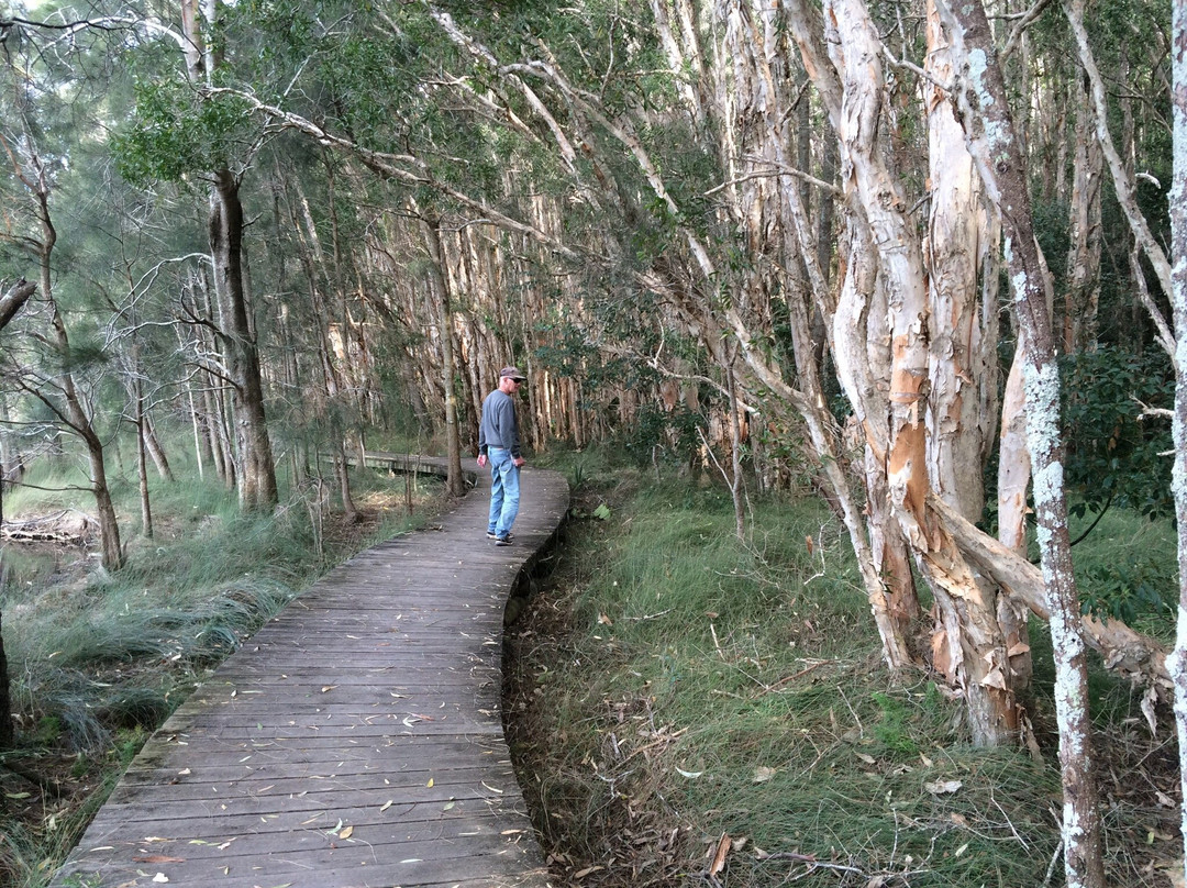Queens Lake Walking Track-Laurieton必去景点