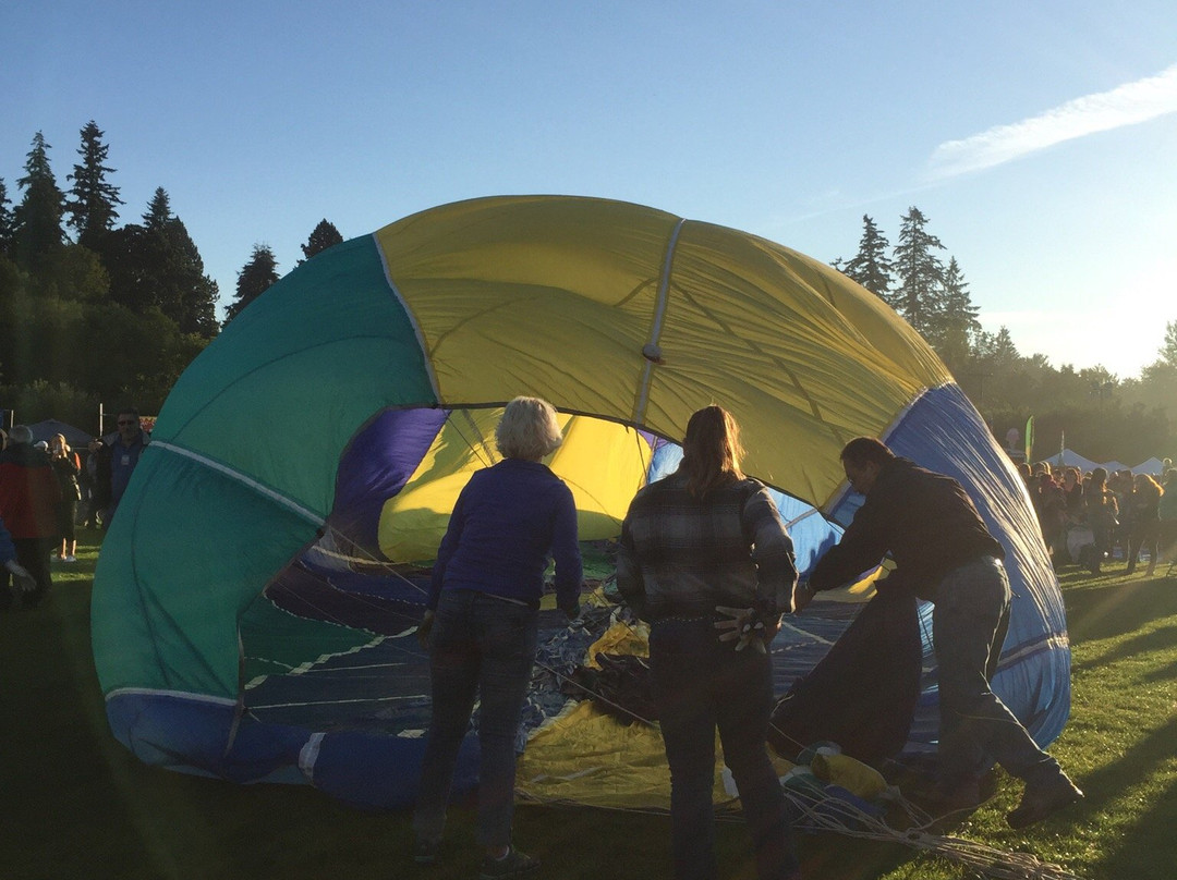 Cook Park-泰格德必去景点