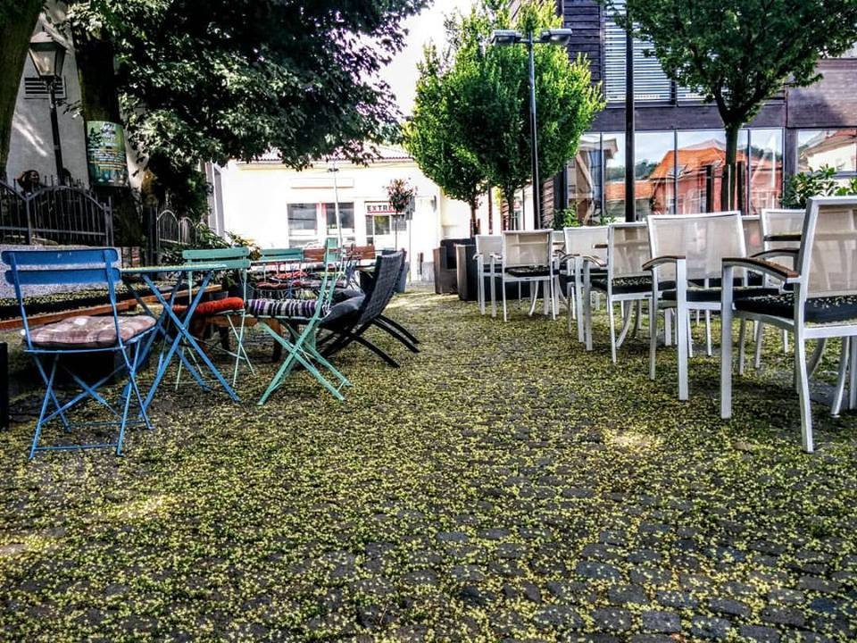Cafe Bar Sloboda景点图片