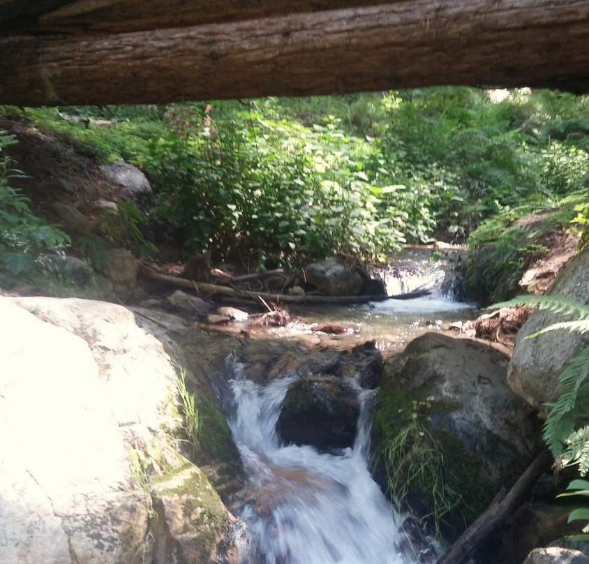 Ewoldsen Trail-大苏尔必去景点