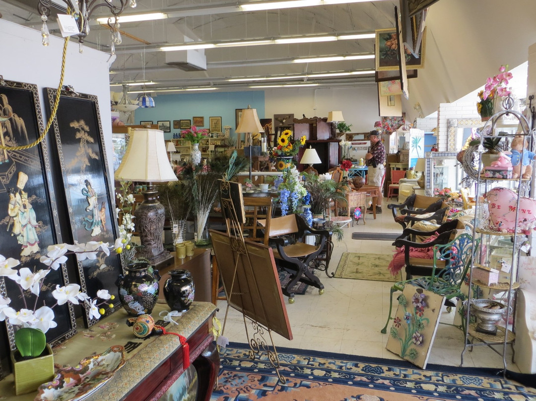 Magnolia New & Used Treasures-罗克波特必去景点