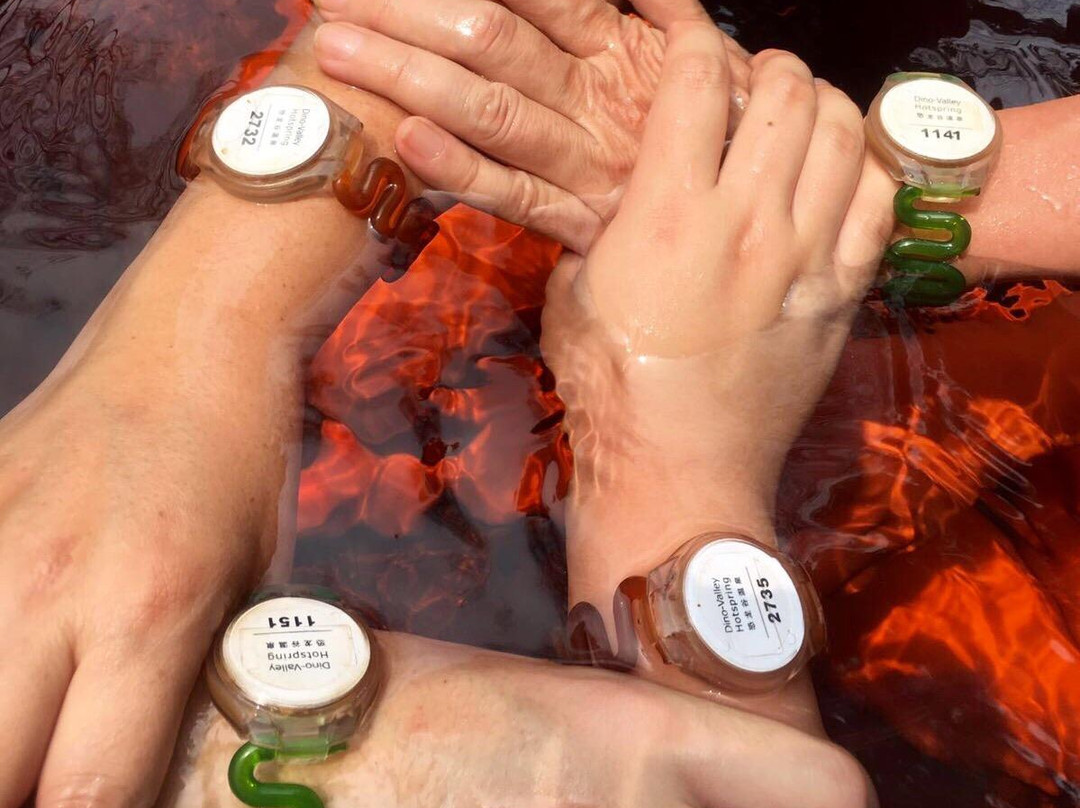 常州恐龙谷温泉-常州市必去景点