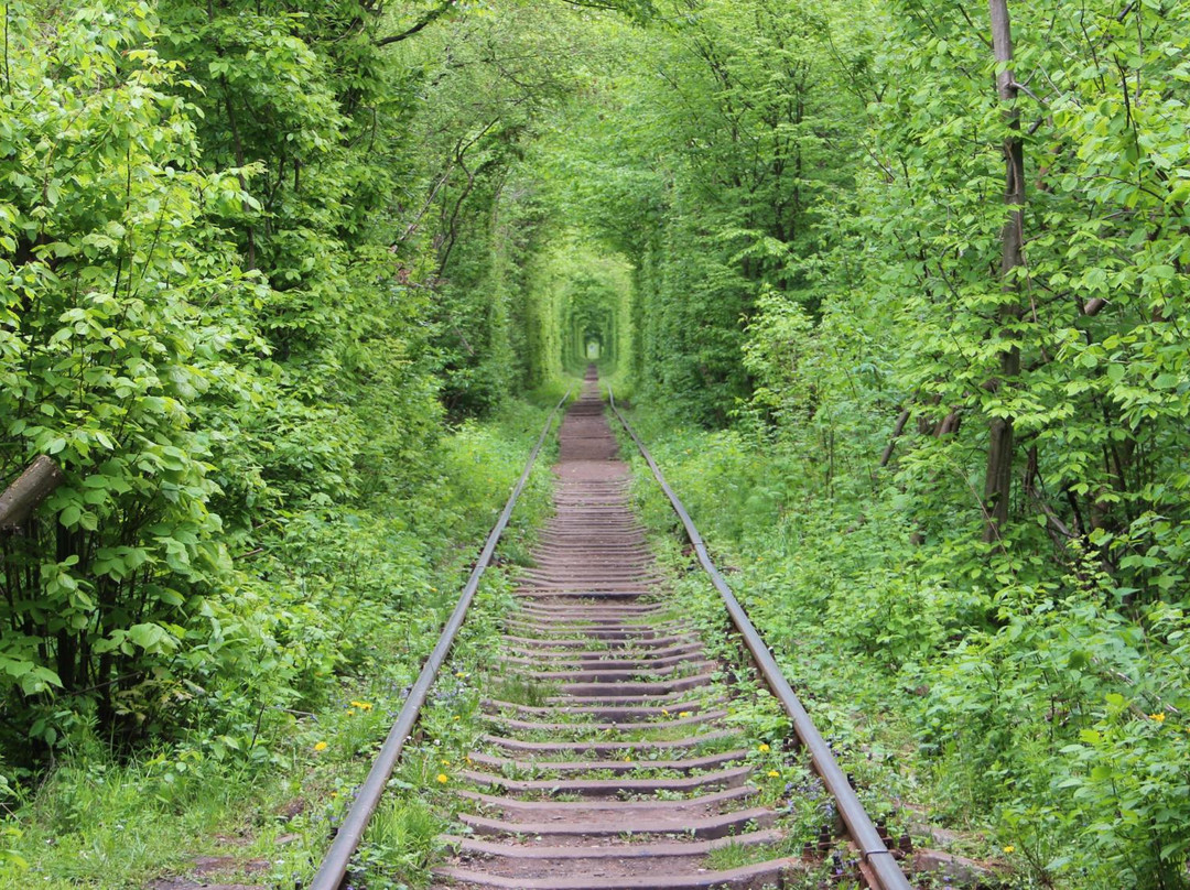 Klevan旅游景点-Tunnel of Love